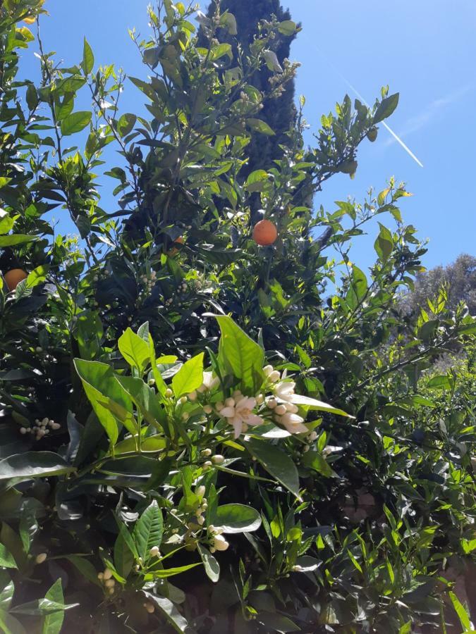 Crapa Licca Villa Ventimiglia di Sicilia Bagian luar foto